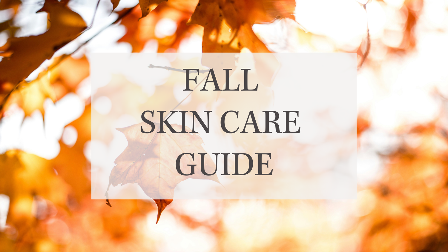 Guide: Fall Skin Care