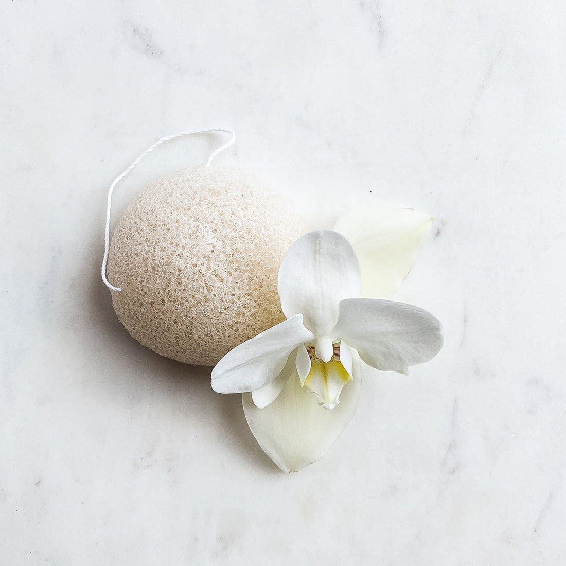 konjac facial sponge