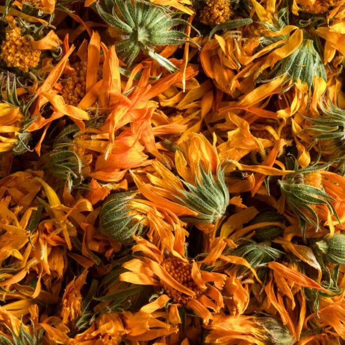 orange calendula flowers
