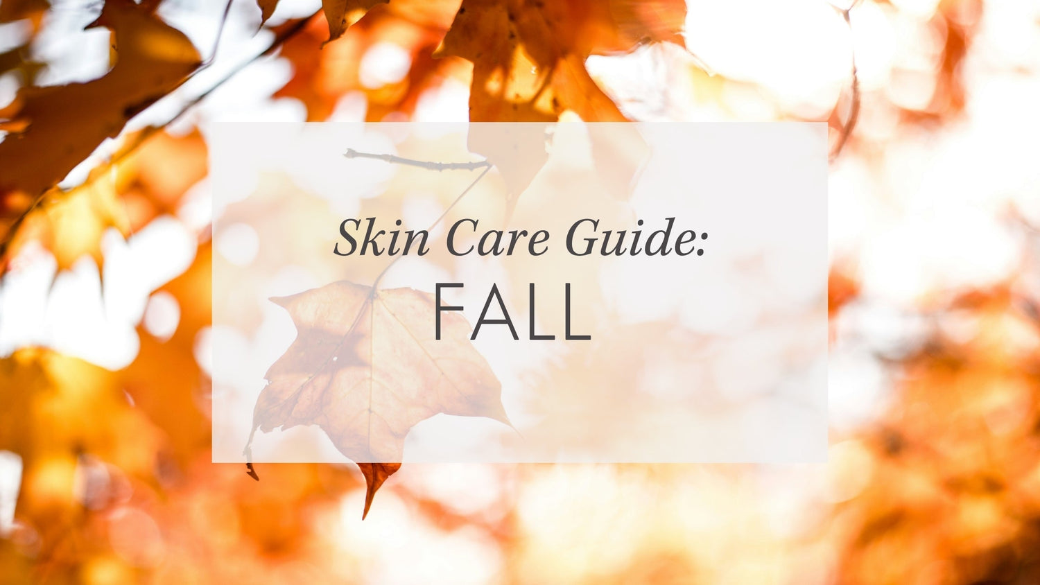 Guide: Fall Skin Care