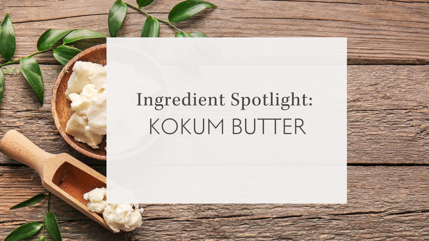 Rustic display of kokum butter in scoops with green leaves on a wooden surface