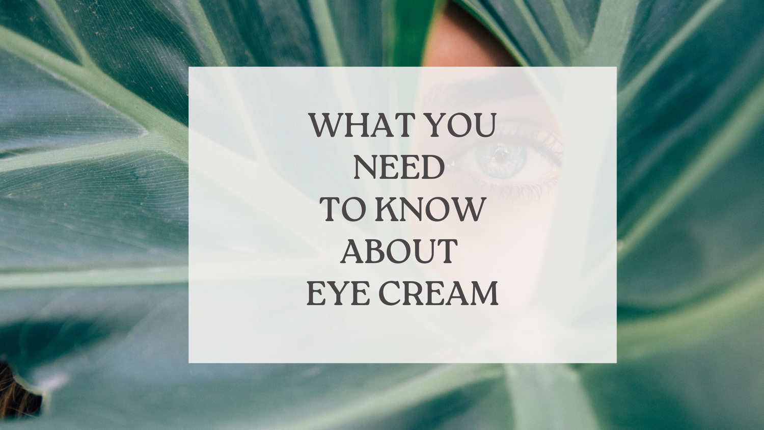 What You Need to Know About Eye Cream